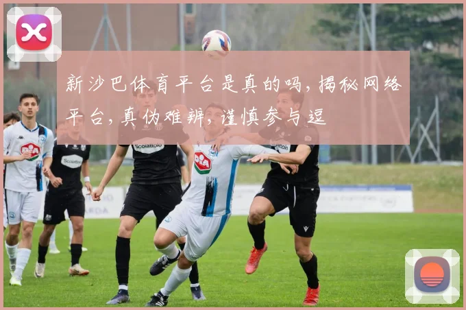 新沙巴体育平台是真的吗,揭秘网络平台,真伪难辨,谨慎参与逗