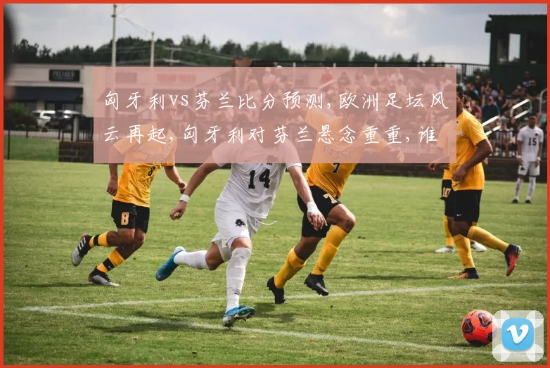 匈牙利vs芬兰比分预测,欧洲足坛风云再起,匈牙利对芬兰悬念重重,谁将问鼎