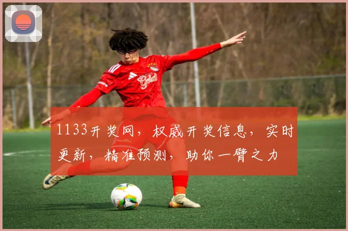 1133开奖网，权威开奖信息，实时更新，精准预测，助你一臂之力