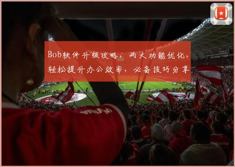 Bob软件升级攻略，两大功能优化，轻松提升办公效率，必备技巧分享