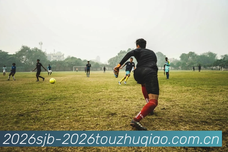世界杯投注技巧2026服务体系